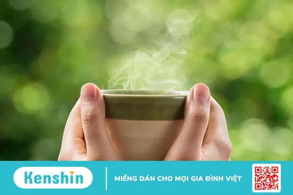 Chè vằng có tác dụng gì? Những điều cần lưu ý khi sử dụng chè vằng