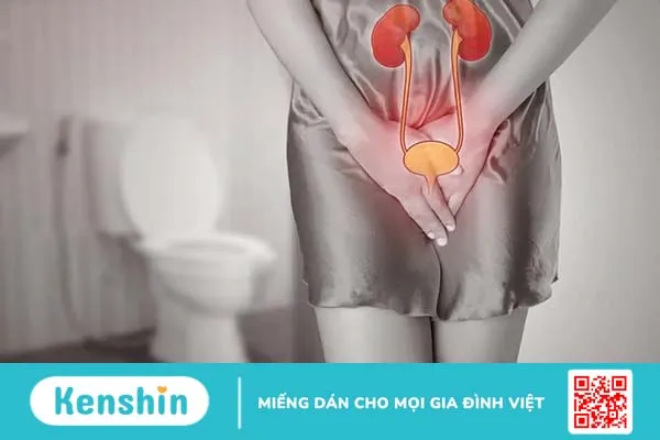 Chỉ số bạch cầu trong nước tiểu cao báo hiệu điều gì?