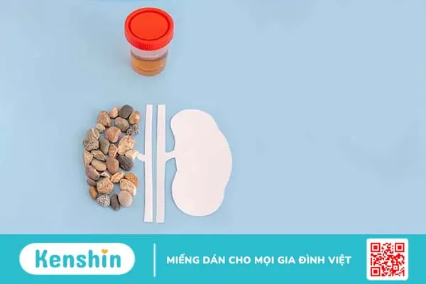 Chỉ số bạch cầu trong nước tiểu cao báo hiệu điều gì?