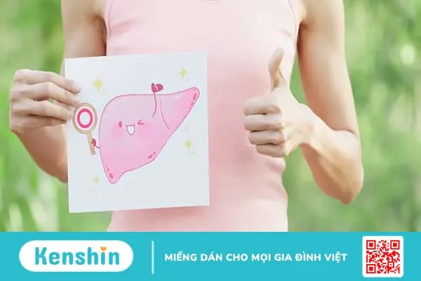 Chỉ số men gan cao và bình thường là bao nhiêu? Nếu cao có đáng lo?