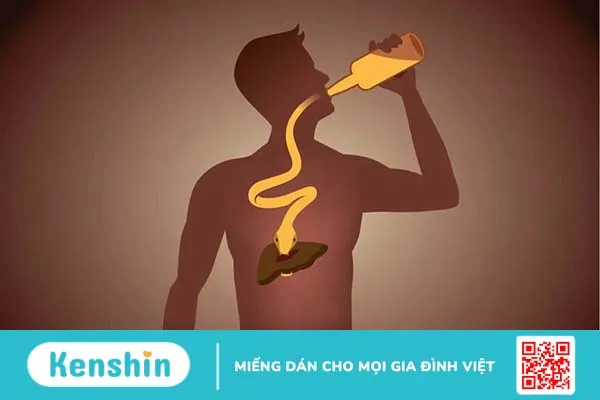 Chỉ số men gan cao và bình thường là bao nhiêu? Nếu cao có đáng lo?