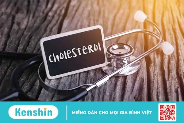 Chỉ số mỡ máu và những điều bạn cần biết