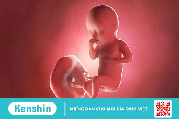 Chi tiết 6 nhóm nguyên nhân sinh non mẹ cần biết để ngăn ngừa rủi ro