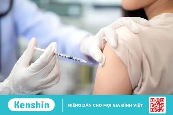 Chích ngừa mèo cắn bao nhiêu tiền? Bạn cần lưu ý gì sau khi tiêm?