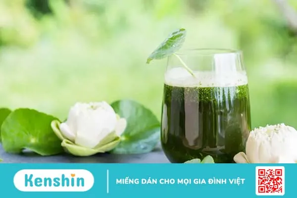 Cho con bú uống rau má được không? Những lưu ý cần nhớ