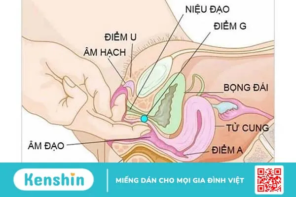 Chỗ nhạy cảm của con gái nằm ở đâu? Tiết lộ 10 điểm nhạy cảm ở nữ