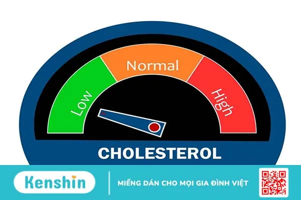 Cholesterol thấp (hay mỡ máu thấp) có sao không?