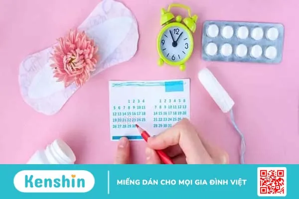 Chu kỳ kinh nguyệt là gì? Chu kỳ kinh nguyệt tính như thế nào?