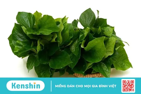 Chữa dị ứng thời tiết bằng lá lốt sao cho an toàn và hiệu quả?