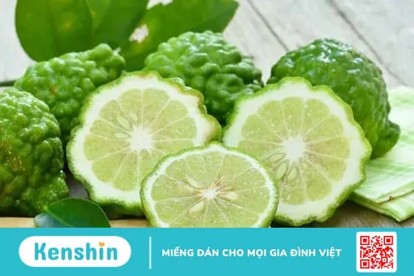 Chữa mỡ máu cao bằng thảo dược: 5 cây thuốc quý giúp đẩy lùi bệnh