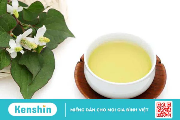 Chữa viêm phế quản bằng rau diếp cá có hiệu quả không?