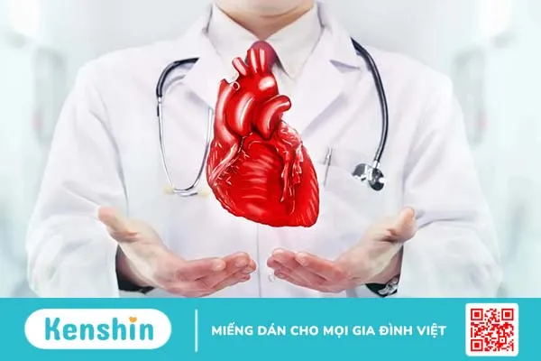 Chức năng của tim và những điều bạn cần biết