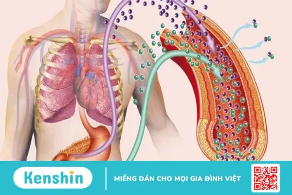 Chướng bụng đầy hơi: Nguyên nhân và cách điều trị