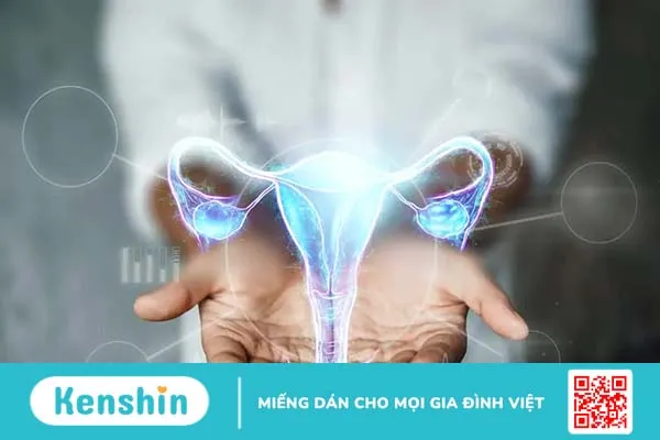 Chuyên gia giải đáp: Độ dày niêm mạc tử cung bao nhiêu là bình thường?