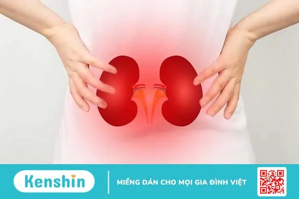 Chuyên gia giải đáp: Những ai không nên uống cà gai leo?