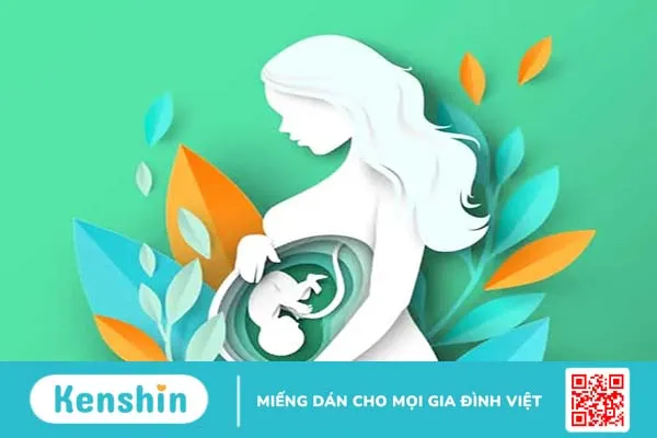 Chuyên gia giải đáp: Sau khi chọc hút trứng bao lâu thì chuyển phôi?