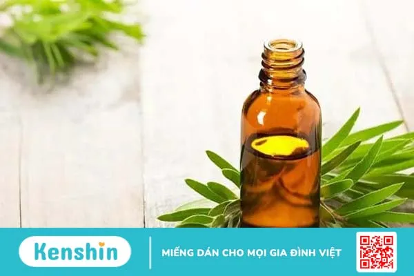 Chuyên gia mách bạn 10 cách trị mụn trứng cá tại nhà cực hiệu quả