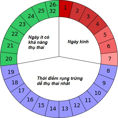 Chuyên gia sản khoa tiết lộ 4 cách tính ngày rụng trứng cực chuẩn