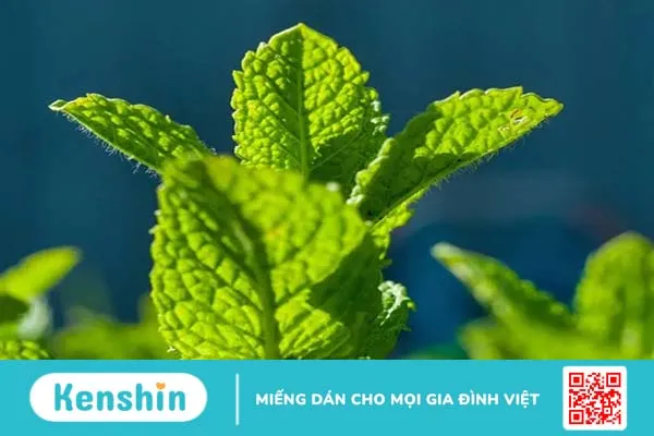 Có cần phải sử dụng sirô hỗ trợ tiêu hóa cho bé?