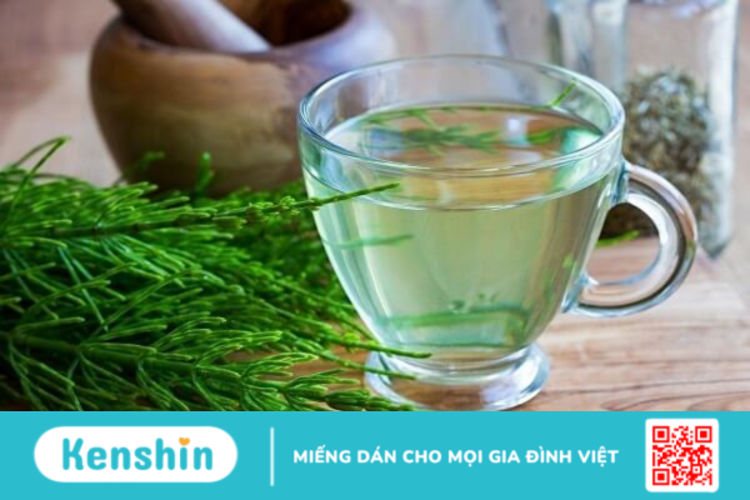 Cỏ đuôi ngựa – Thành phần dược liệu quý giá