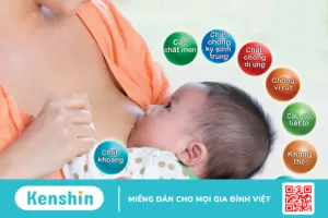 Có nên bổ sung DHA cho mẹ sau sinh? Mẹ cần lưu ý điều gì?