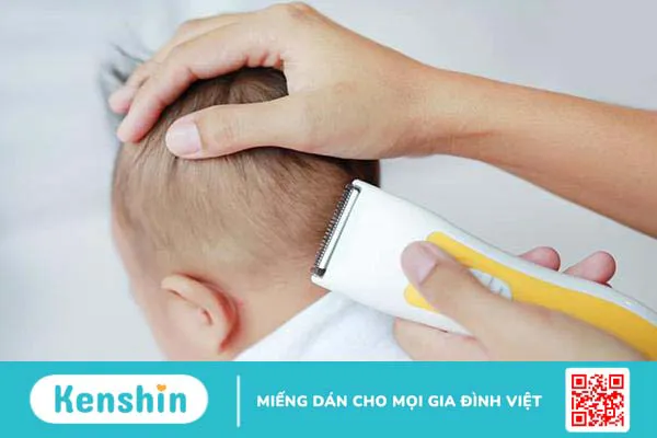 Có nên cắt tóc máu cho bé? Cắt tóc máu có giúp tóc trẻ mọc dày?