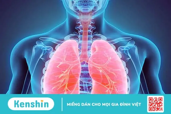 Cơ thể lão hóa sẽ có những thay đổi như thế nào?