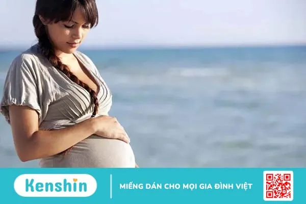 Củ mài: Người bạn tốt cho sức khỏe chúng ta