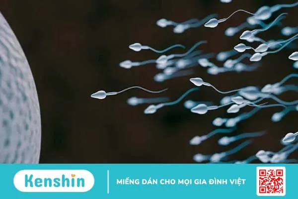 Củ riềng: Người bạn thân cho sức khỏe