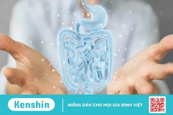 Củ sen có tác dụng gì? 10 công dụng và cách ăn củ sen tốt cho sức khỏe