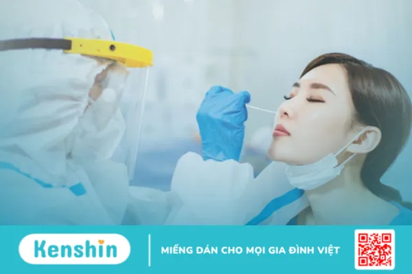 Cúm gia cầm là gì ? cách điều trị bệnh