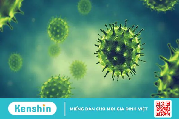 Cúm H3N8: Chủng virus cúm gia cầm mới liệu có đáng lo?