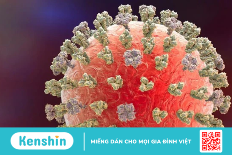 Cúm H3N8: Chủng virus cúm gia cầm mới liệu có đáng lo?