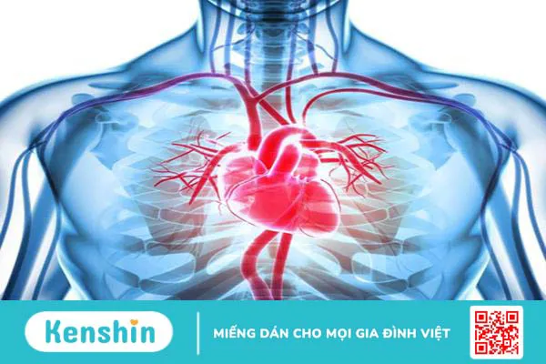 Cùng tìm hiểu các lợi ích sức khỏe của liệu pháp xông hơi