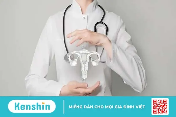 Đặt vòng nâng cổ tử cung để làm gì? Ưu và nhược điểm ra sao?