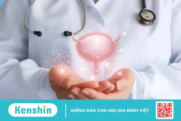 Đau bàng quang: Dấu hiệu báo động về các bệnh lý tiết niệu