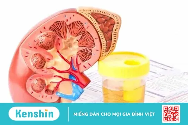 Đau bụng dưới bên phải là bị gì? 7 nguyên nhân thường gặp