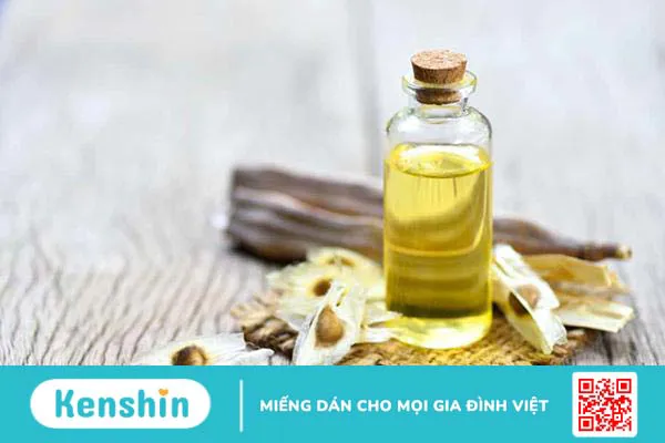 Dầu chùm ngây có nhiều tác dụng hay mà bạn nên thử