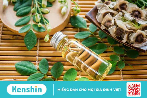 Dầu chùm ngây có nhiều tác dụng hay mà bạn nên thử