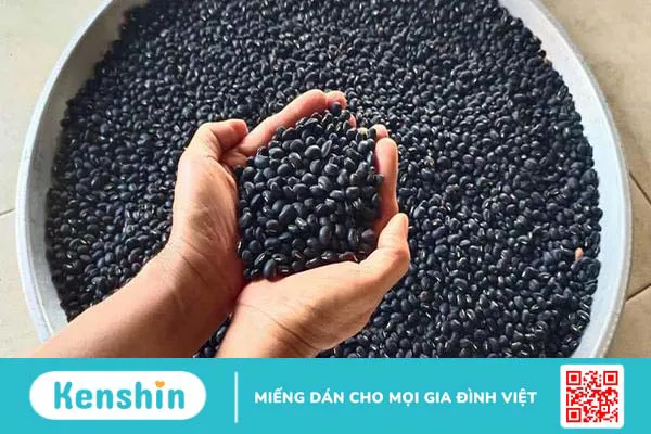 Đậu đen và những bài thuốc quý cho sức khỏe