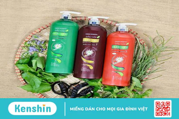 Dầu gội thảo dược là gì? Review 5 loại dầu gội đầu được tin dùng hiện nay