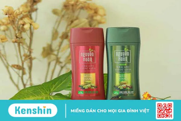 Dầu gội thảo dược là gì? Review 5 loại dầu gội đầu được tin dùng hiện nay