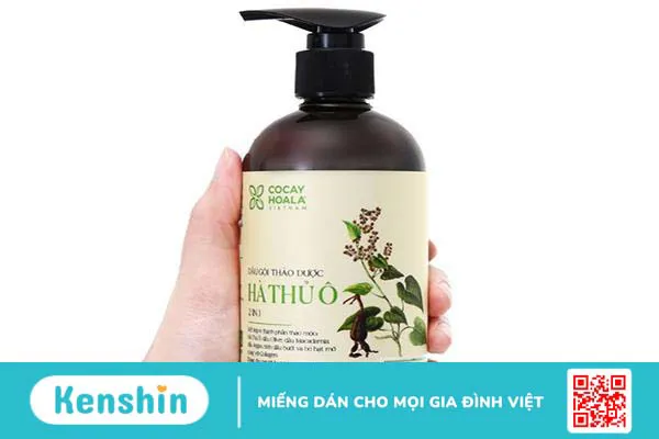 Dầu gội thảo dược là gì? Review 5 loại dầu gội đầu được tin dùng hiện nay