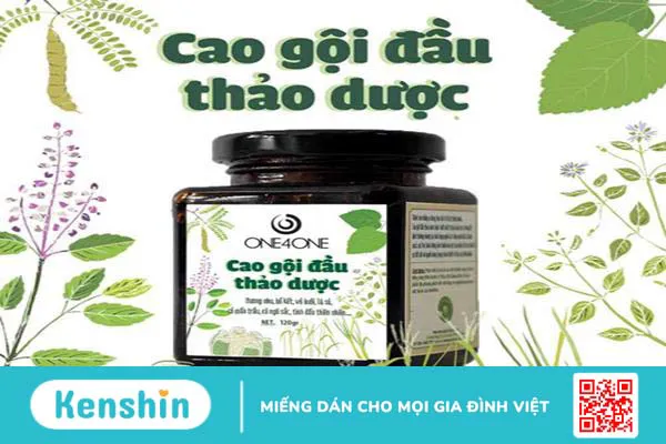 Dầu gội thảo dược là gì? Review 5 loại dầu gội đầu được tin dùng hiện nay