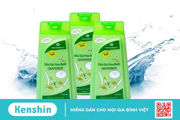 Dầu gội thảo dược là gì? Review 5 loại dầu gội đầu được tin dùng hiện nay