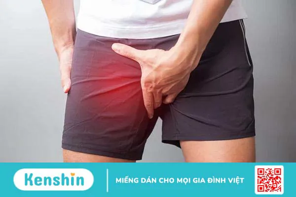 Đau háng là do đâu, khi nào cần đi khám và cách điều trị