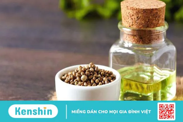 Dầu hạt gai dầu: Nhiều tác dụng hay để khám phá