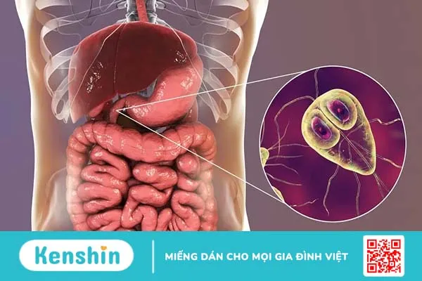 Dấu hiệu nhận biết các dạng nhiễm ký sinh trùng ở trẻ nhỏ