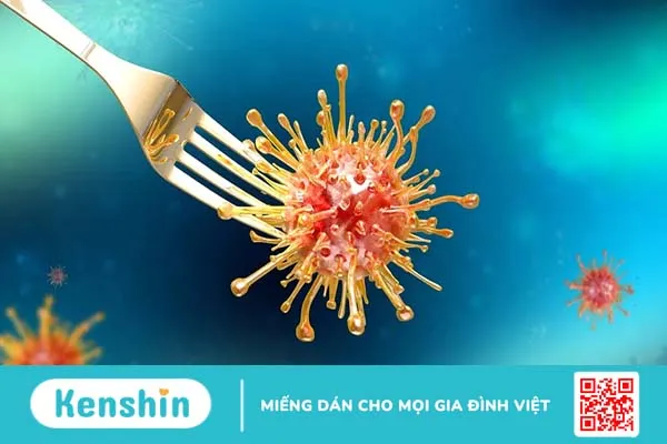 Dấu hiệu nhiễm vi khuẩn campylobacter – Điều trị, phòng ngừa ra sao?