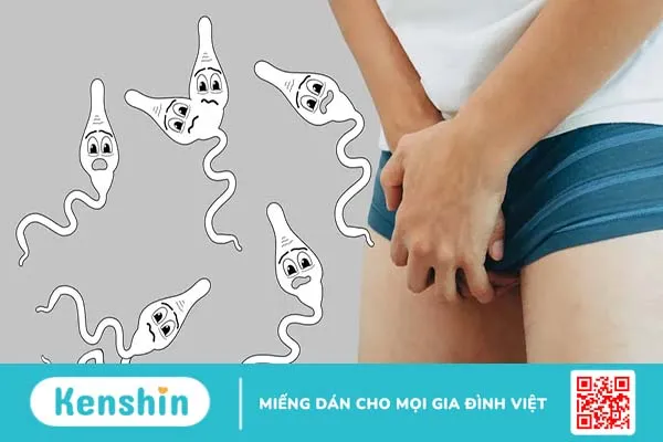 Đầu khấc là gì? Nhận biết các vấn đề thường gặp ở đầu khấc